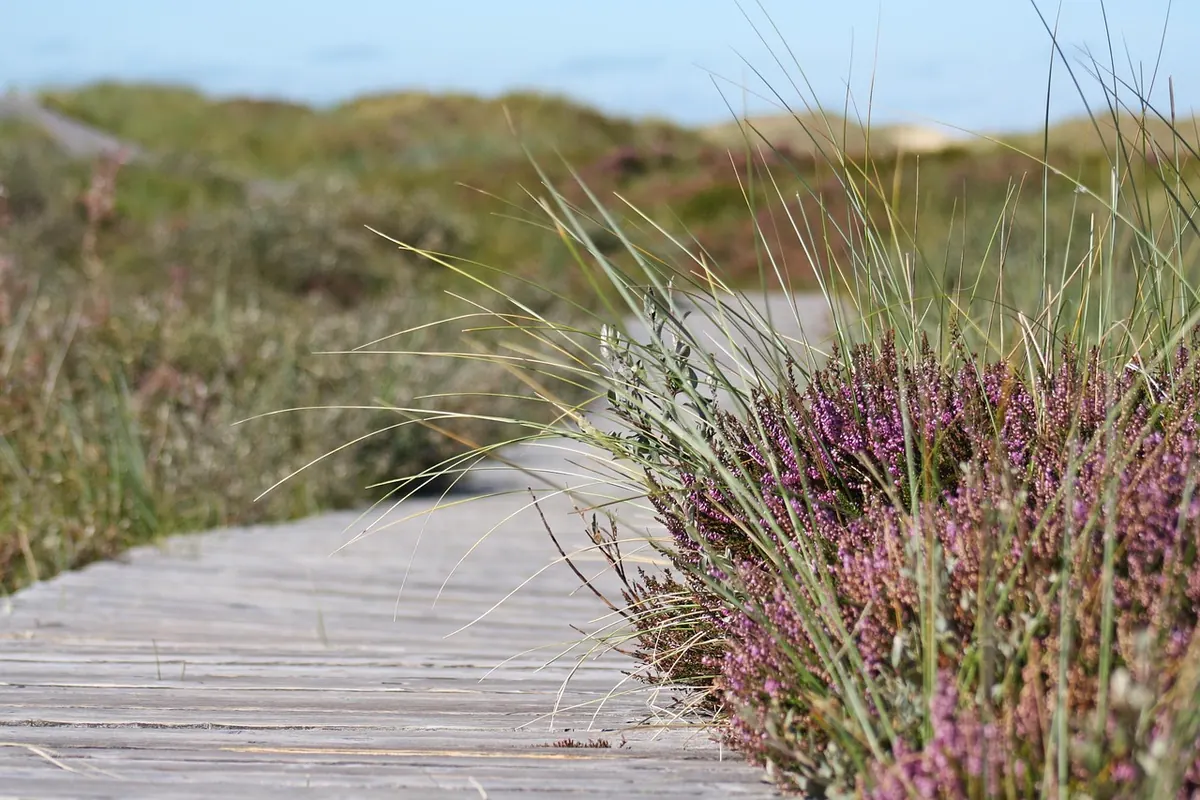 A Coastal Walk Checklist: 10 Things to Check Before You Set Off