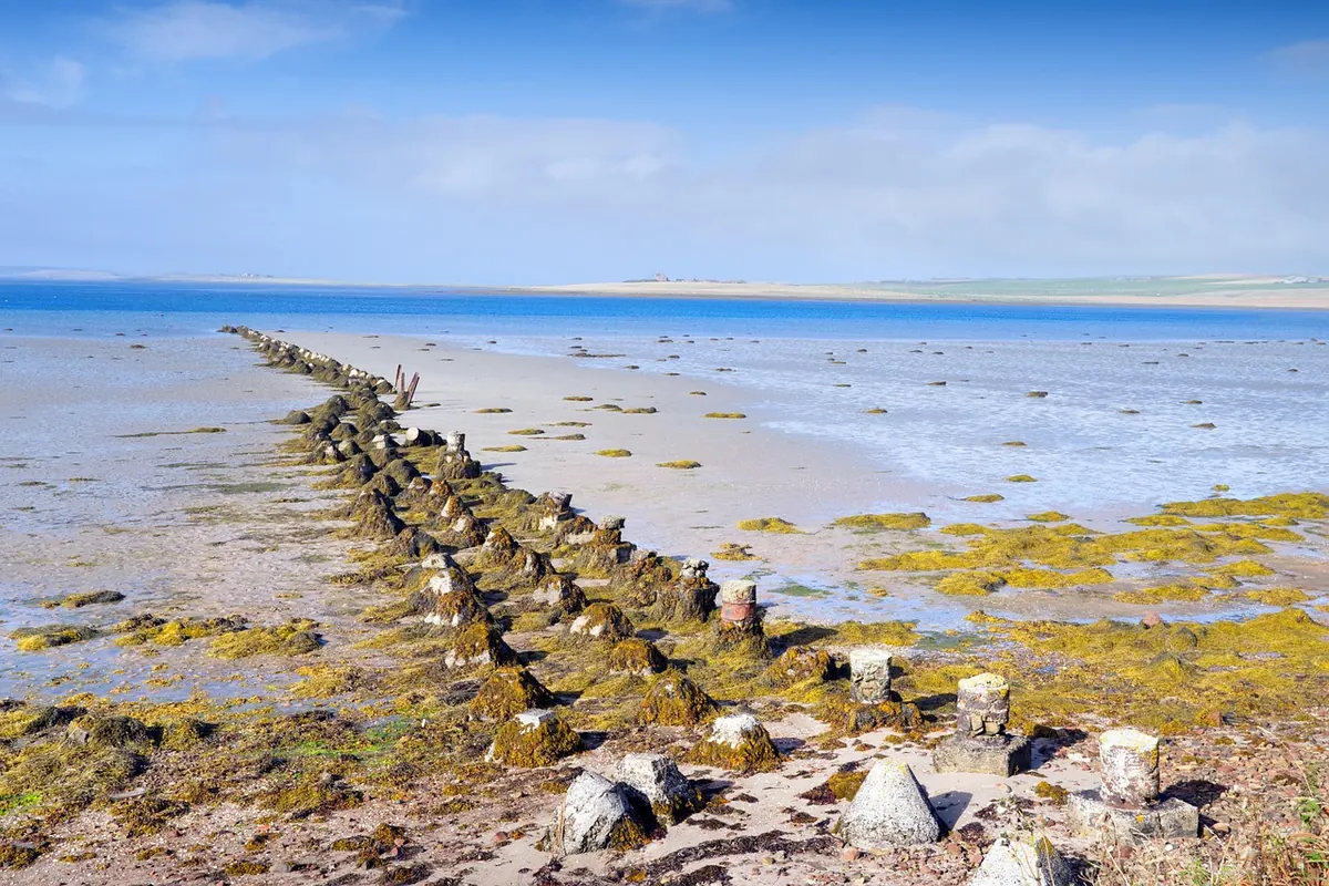 Spring vs Neap Tides: What They Mean for Beach Days and Boat Launches